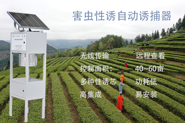 害蟲性誘智能測(cè)報(bào)系統(tǒng)圖片1