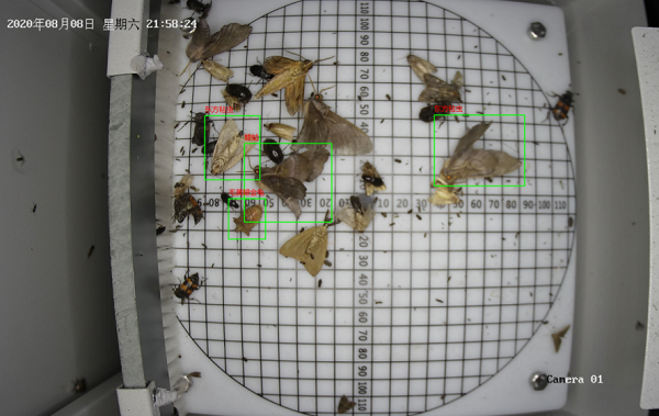 農(nóng)業(yè)蟲情測報燈圖片2