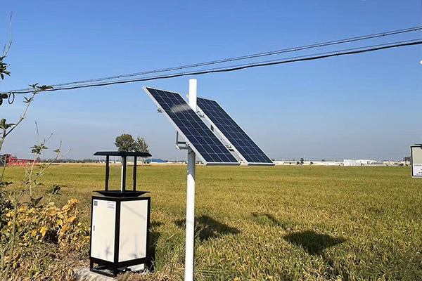 蟲情測報(bào)燈圖片3