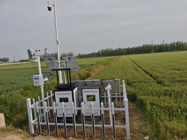 宿遷病害蟲情項(xiàng)目圖片2