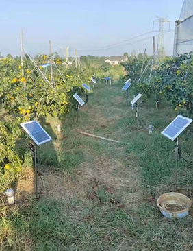 2021湖北宜昌管式墑情監(jiān)測(cè)